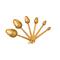 Hello Honey® Gold Stainless Steel Measuring Spoon Set